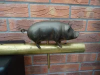 PIG TILLER PIN (4)